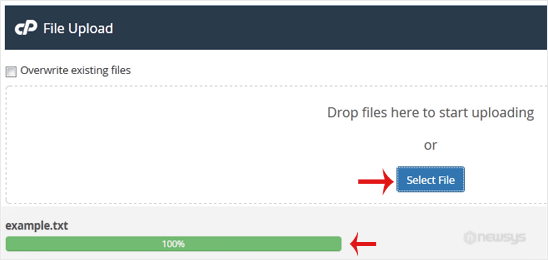 How to Upload Files via the cPanel File Manager brows filemanager