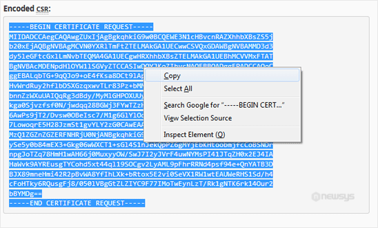 How to Retrieve a CSR from cPanel csr code copy