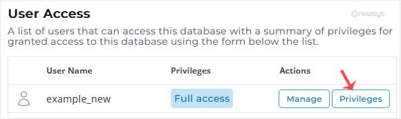 How to Modify a Database User's Privileges in DirectAdmin da db user privileges navigation