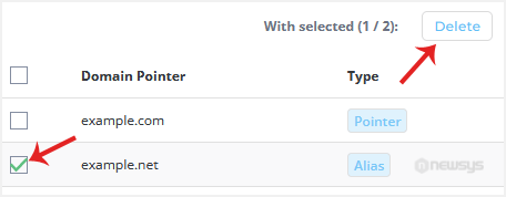 How to Remove a Domain Alias in DirectAdmin da domainpointer delete alias