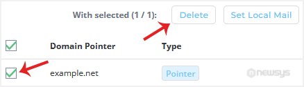 How to Remove a Domain Pointer in DirectAdmin da domainpointer remove
