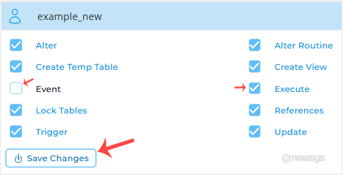 How to Modify a Database User's Privileges in DirectAdmin da piv modify change