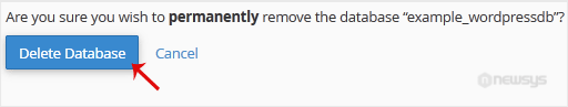 db remove confirmation