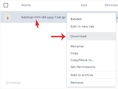 How to Download Email, FTP, or a Database-only Backup from DirectAdmin directadmin contex menu dwn