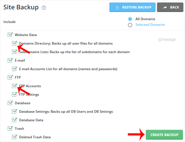 directadmin select item to backup