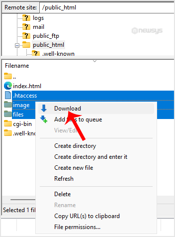 How to Download Files and Directories to Your Computer via FileZilla filezilla client download files folder