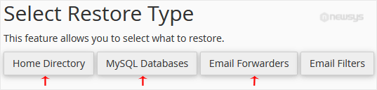 How to Restore Partial Backups in cPanel paper select restore type