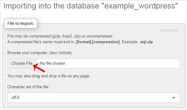 phpmyadmin import2