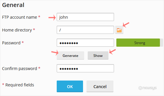 How to Create an FTP Account in Plesk plesk create ftp account options