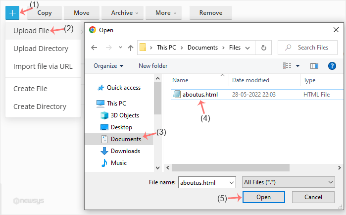 plesk filemanager upload file