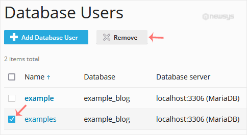 How to Remove a Database User in Plesk plesk remove database user