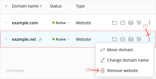 How to Remove a Domain in Plesk plesk remove domain