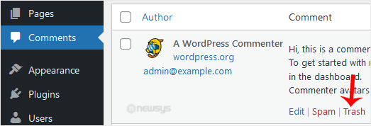 How to Remove Sample Comments and Posts From WordPress wp ft remove comment